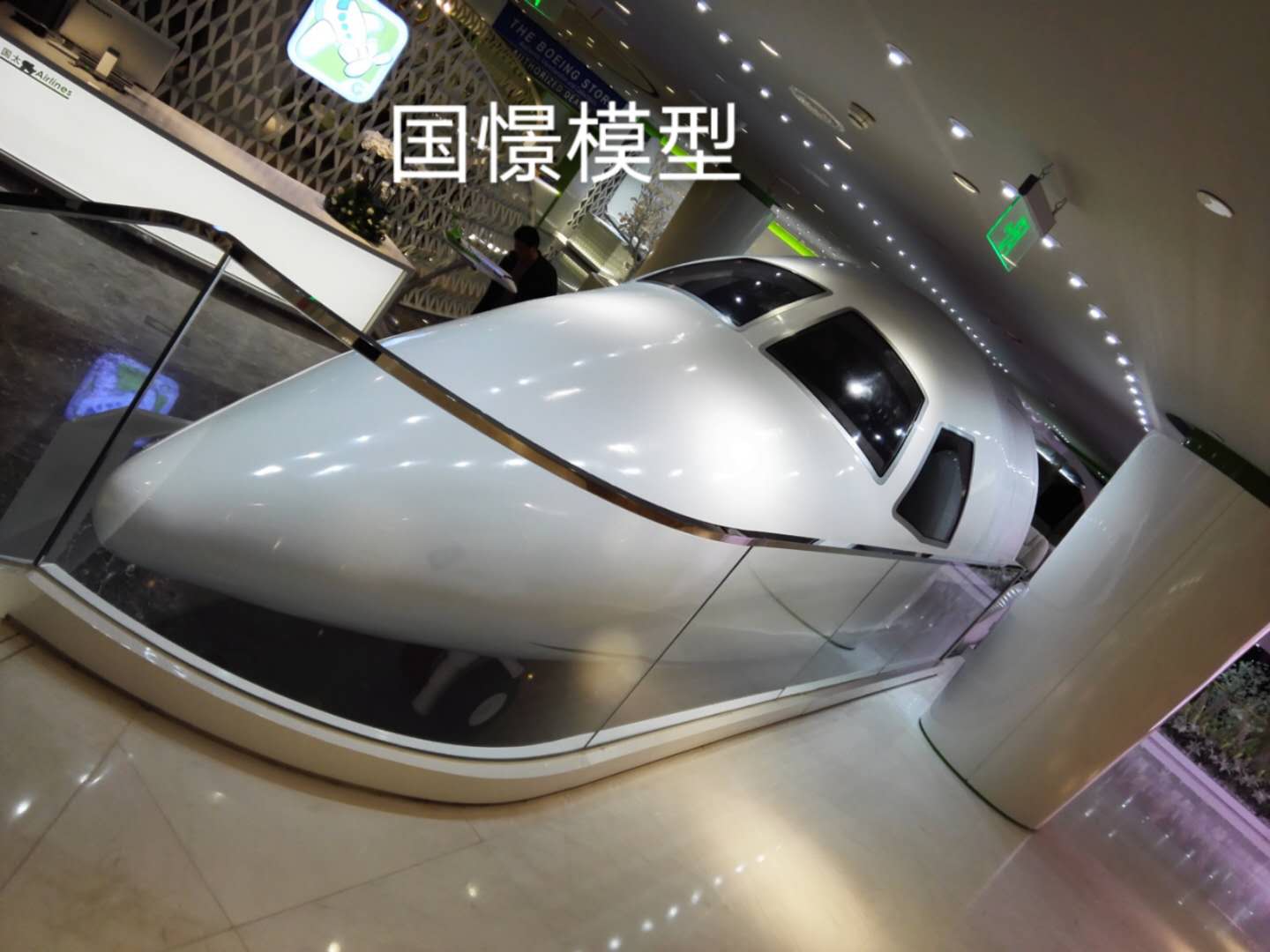 尼木县大型仿真模型道具