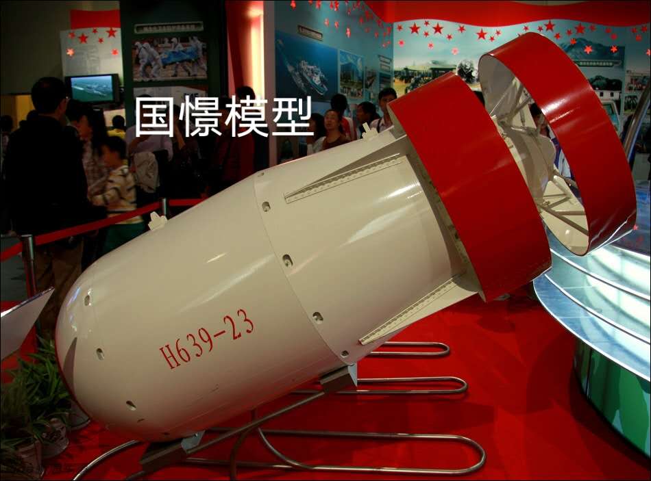 尼木县军事模型